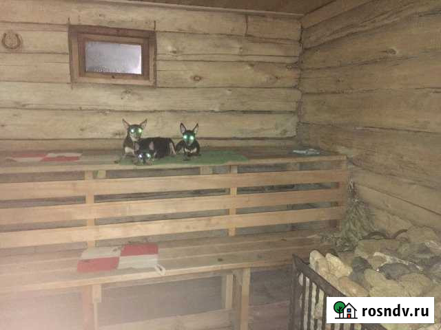 Дом 250 м² на участке 32 сот. на продажу в Медведовской Медведовская - изображение 1