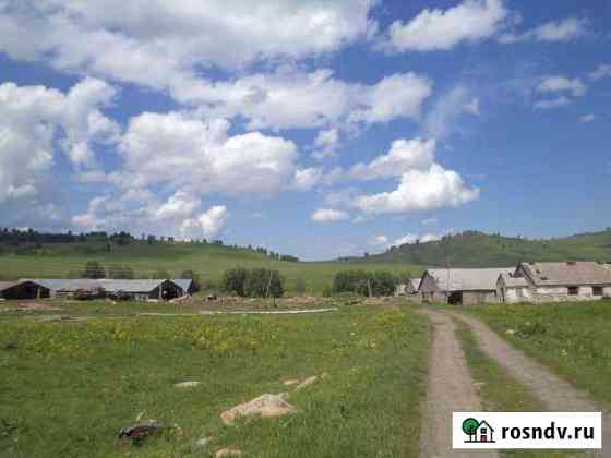 Участок СНТ, ДНП 800 сот. на продажу в Чарышском Чарышское