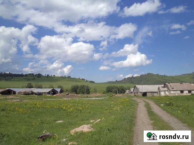 Участок СНТ, ДНП 800 сот. на продажу в Чарышском Чарышское - изображение 1