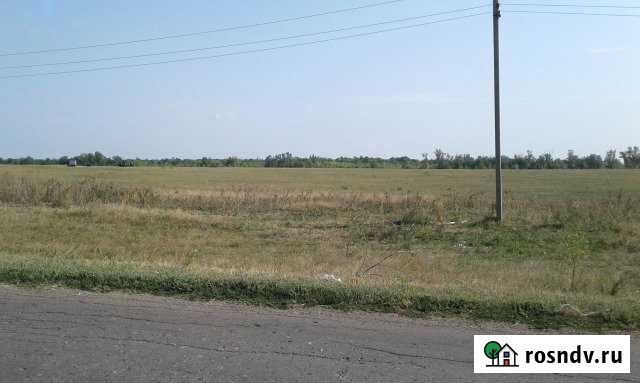 Участок СНТ, ДНП 1550 сот. на продажу в Энгельсе Энгельс - изображение 1