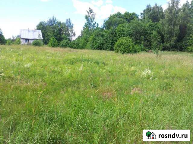 Участок ИЖС 25 сот. на продажу в Новоржеве Новоржев - изображение 1