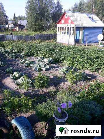 Дача 48 м² на участке 6 сот. на продажу в Сосногорске Сосногорск - изображение 1