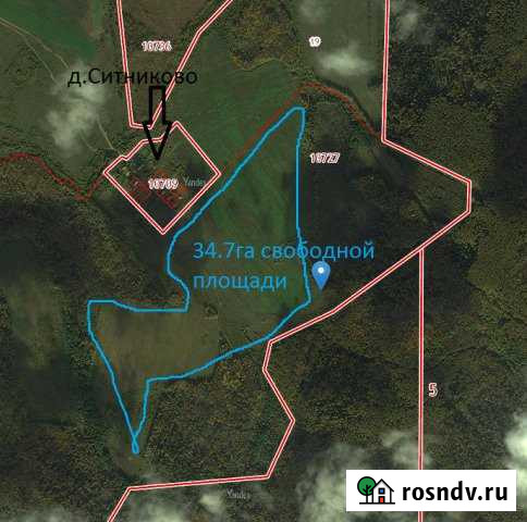 Участок СНТ, ДНП 1100 сот. на продажу в Иваново Иваново - изображение 1