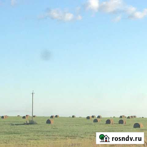 Участок ИЖС 136 сот. на продажу в Сычевке Сычевка - изображение 1