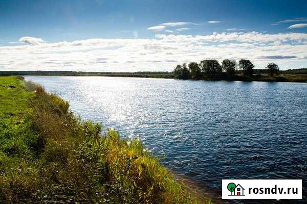 Участок СНТ, ДНП 40 сот. на продажу в Сосново Сосново - изображение 1