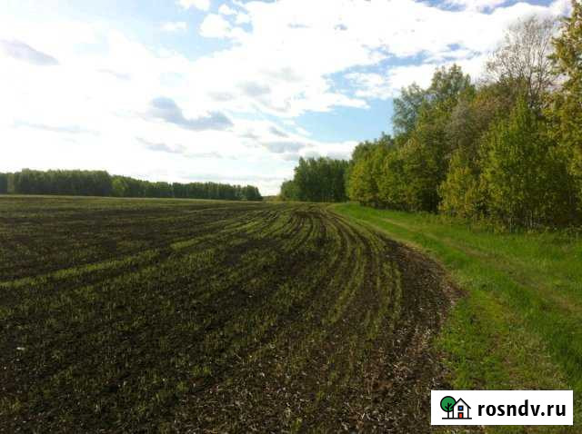 Участок СНТ, ДНП 7000 сот. на продажу в Казанском Казанское - изображение 1