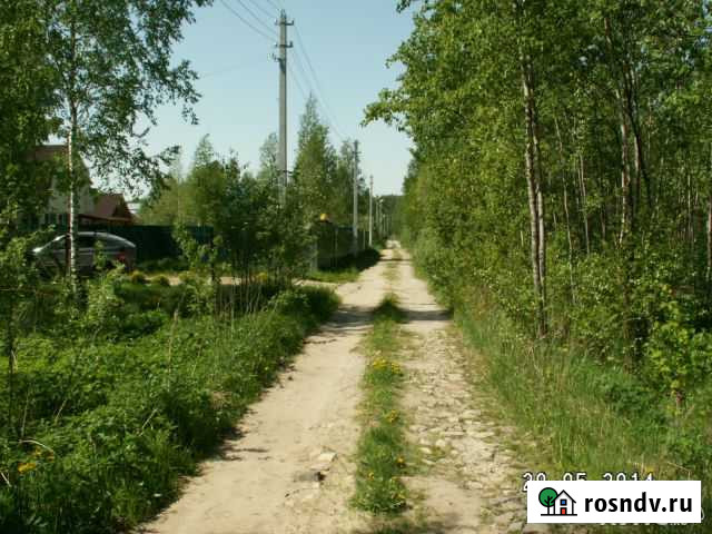 Участок СНТ, ДНП 5 сот. на продажу в Электростали Электросталь - изображение 1