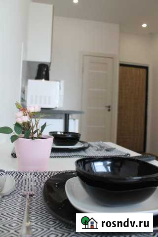 Квартира-студия, 22 м², 2/17 эт. в аренду на длительный срок в Химках Химки - изображение 1