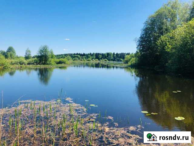 Участок СНТ, ДНП 8 сот. на продажу в Редкино Редкино - изображение 1