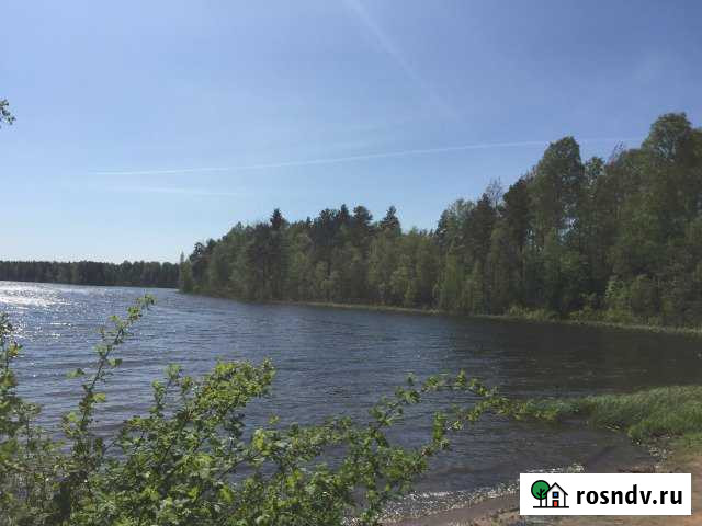 Участок ИЖС 12 сот. на продажу в Первомайском Ленинградской области Первомайское - изображение 1