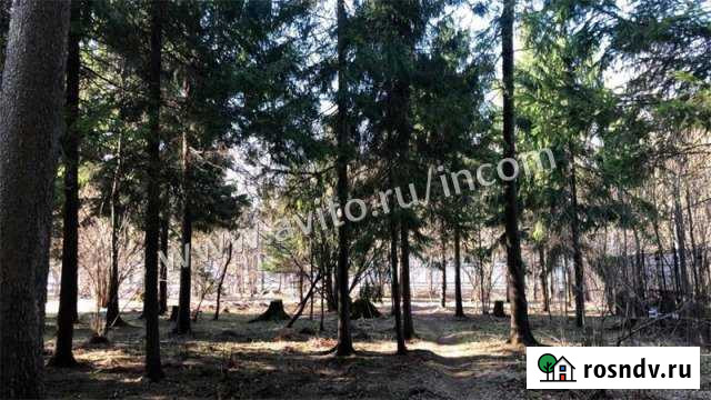 Участок ИЖС 25 сот. на продажу в Краснознаменске Московской области Краснознаменск - изображение 1