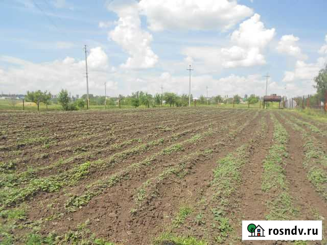 Участок ИЖС 16 сот. на продажу в Фатеже Фатеж - изображение 1