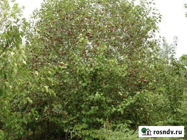 Дача 20 м² на участке 8 сот. на продажу в Лоскутово Лоскутово - изображение 1