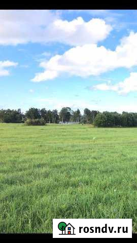 Участок СНТ, ДНП 274 сот. на продажу в Сосново Сосново - изображение 1