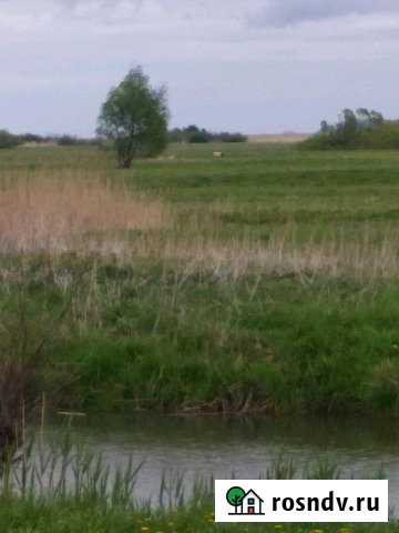 Участок ИЖС 24 сот. на продажу в Полесске Полесск - изображение 1