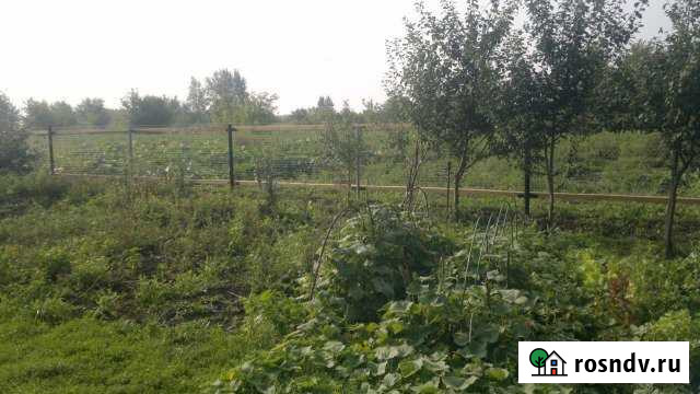 Участок ИЖС 38 сот. на продажу в Сараях Сараи - изображение 1