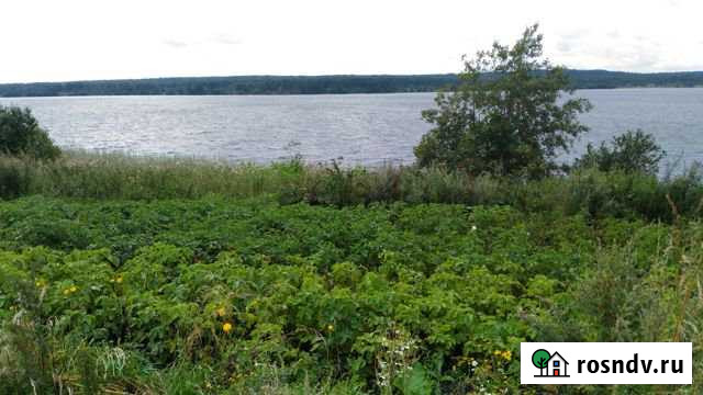 Участок СНТ, ДНП 15 сот. на продажу в Пиндушах Пиндуши - изображение 1