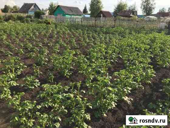 Дача 20 м² на участке 5 сот. на продажу в Ачинске Ачинск