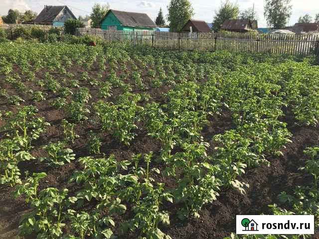 Дача 20 м² на участке 5 сот. на продажу в Ачинске Ачинск - изображение 1