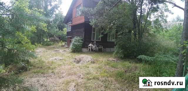 Дача 90 м² на участке 10 сот. на продажу в Дружной Горке Дружная Горка - изображение 1