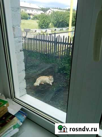 2-комнатная квартира, 53 м², 1/2 эт. на продажу в Трехгорном Трехгорный - изображение 1