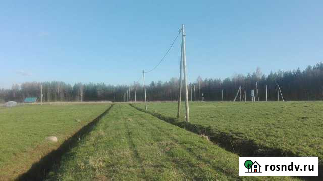 Участок СНТ, ДНП 10 сот. на продажу в Толмачево Ленинградской области Толмачево - изображение 1