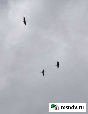 Участок ИЖС 16 сот. на продажу в Богородском Московской области Богородское - изображение 1