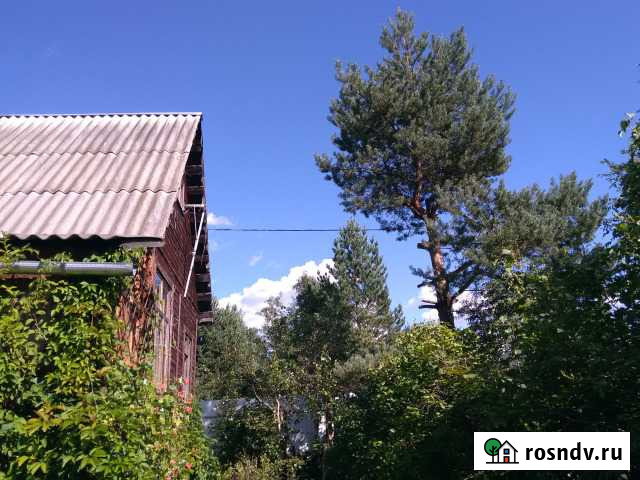 Дача 40 м² на участке 6 сот. на продажу в Верее Верея - изображение 1