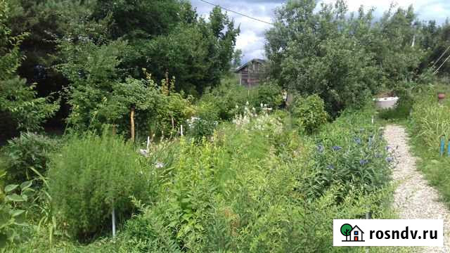 Дом 32 м² на участке 39 сот. на продажу в Некрасовском Ярославской области Некрасовское - изображение 1