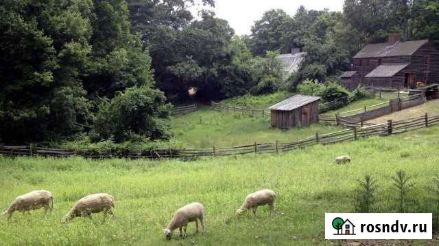 Участок СНТ, ДНП 3200 сот. на продажу в Александрове Александров - изображение 1