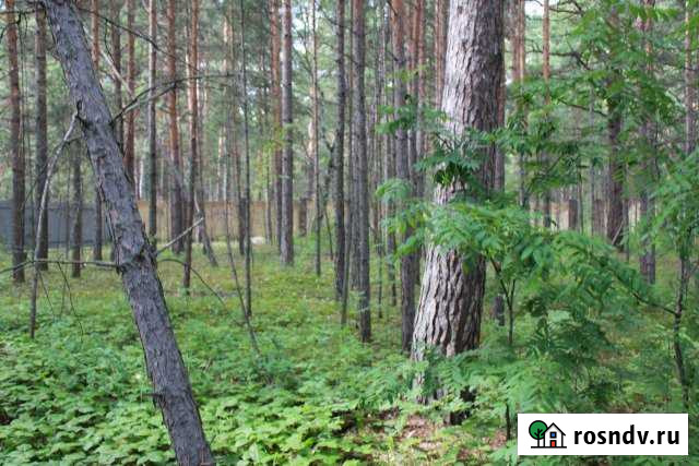 Участок СНТ, ДНП 5 сот. на продажу в Винзилях Винзили - изображение 1