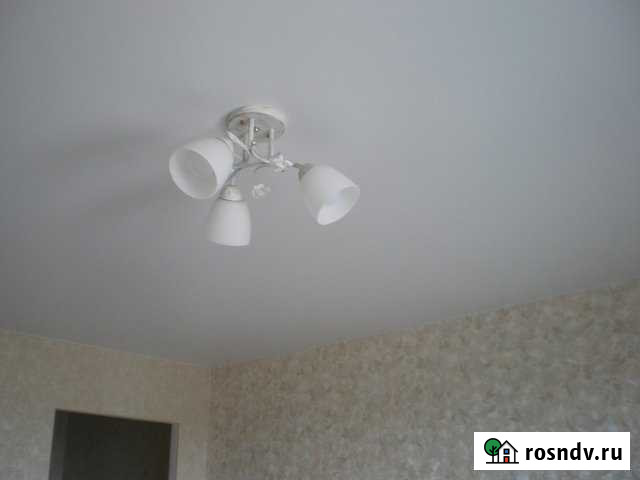 1-комнатная квартира, 29 м², 10/17 эт. на продажу в Красноармейске Московской области Красноармейск - изображение 1