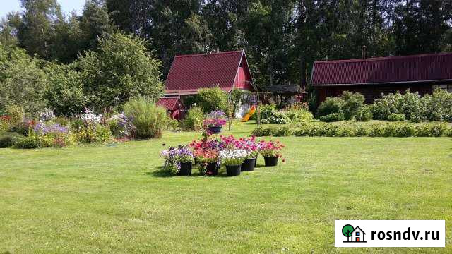 Дача 24 м² на участке 12 сот. на продажу в Синявино Синявино - изображение 1