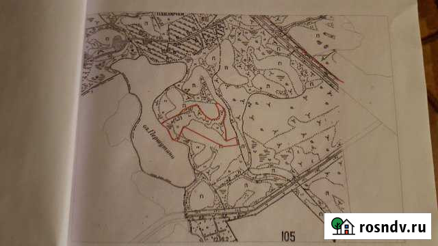 Участок СНТ, ДНП 487 сот. на продажу в Невеле Невель - изображение 1