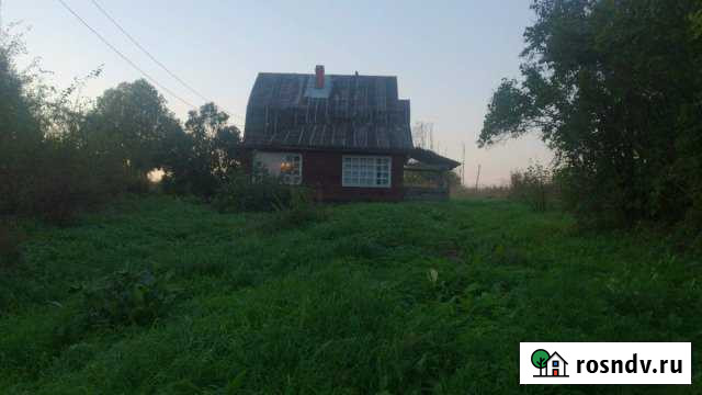 Дача 48 м² на участке 21 сот. на продажу на Лугах Луга - изображение 1