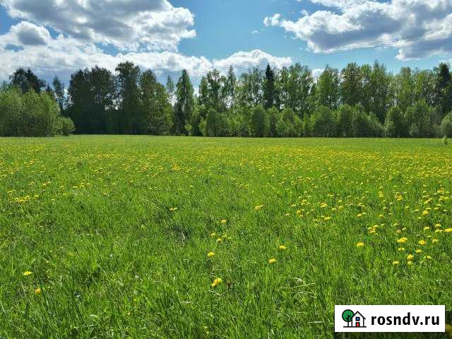 Участок СНТ, ДНП 8 сот. на продажу в Новопетровском Новопетровское - изображение 1