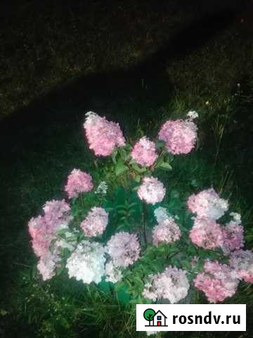 Дача 80 м² на участке 6 сот. на продажу в Любане Любань - изображение 1