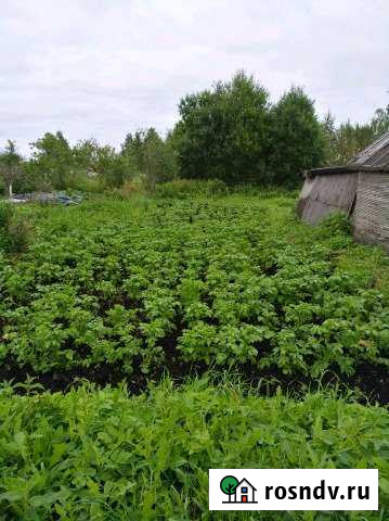 Участок СНТ, ДНП 6 сот. на продажу в Любане Любань - изображение 1