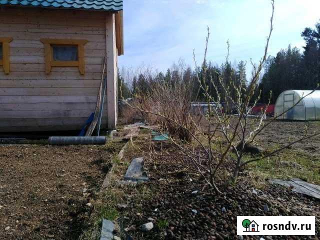 Участок СНТ, ДНП 6 сот. на продажу в Сегеже Сегежа - изображение 1