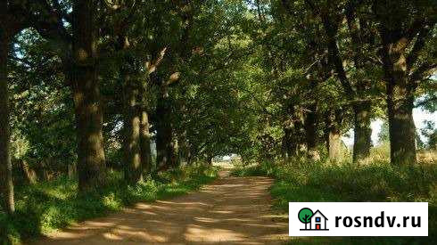 Участок СНТ, ДНП 20 сот. на продажу на Лугах Луга - изображение 1