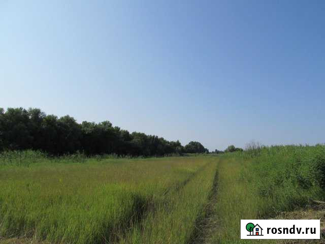 Участок СНТ, ДНП 2000 сот. на продажу в Камызяке Камызяк - изображение 1