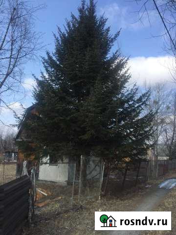 Дача 45 м² на участке 8 сот. на продажу в Восточном Восточное - изображение 1