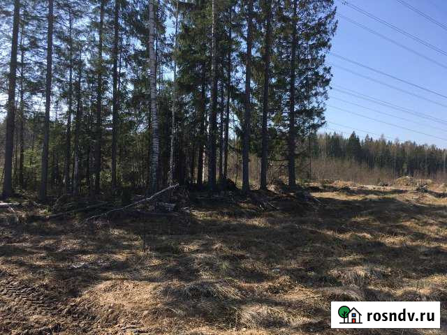 Участок СНТ, ДНП 20 сот. на продажу в Сертолово Сертолово - изображение 1