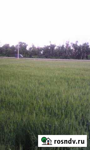 Дом 20 м² на участке 25 сот. на продажу в Рассвете Ростовской области Рассвет - изображение 1