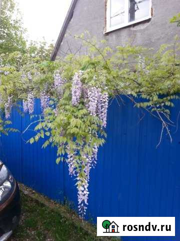 Дача 50 м² на участке 5 сот. на продажу в Новороссийске Новороссийск - изображение 1