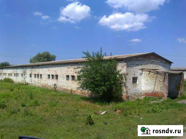 Ферма мтф, Окраина города Крымска Крымск - изображение 1