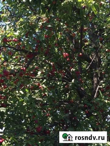 Дача 36 м² на участке 6 сот. на продажу в Синявском Синявское - изображение 1