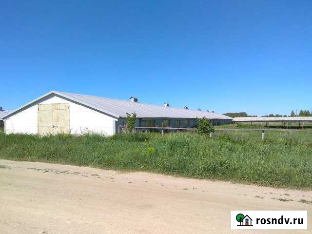 Здания сельскохозяйственного назначения 5409 кв.м Путятино - изображение 1