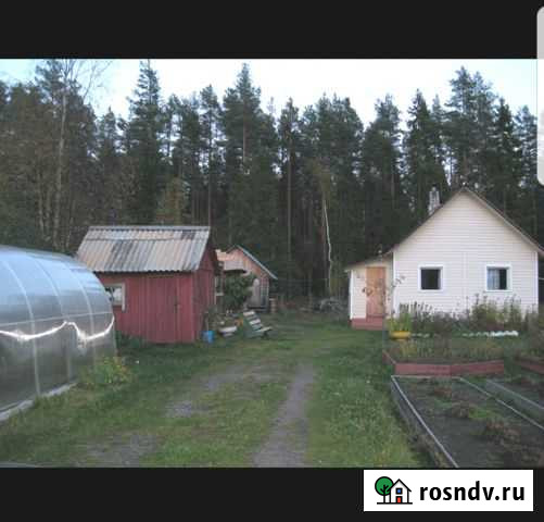 Дача 33 м² на участке 6 сот. на продажу в Питкяранте Питкяранта - изображение 1