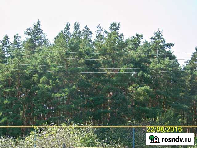 Участок ИЖС 10 сот. на продажу в Разумном Разумное - изображение 1